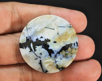 Scenic Multicolor Opalized Petrified Wood