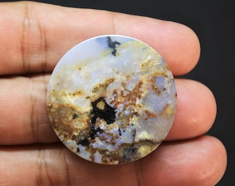 Scenic Multicolor Opalized Petrified Wood