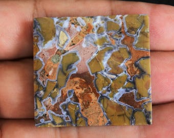 Jasper Maligano Motif