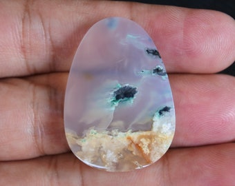 Multicolor Blue Opalized Petrified Wood Ice Rare