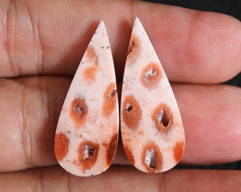 Druzy Agate Fossil Coral Pair