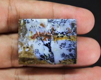 Scenic Multicolor Opalized Petrified Wood