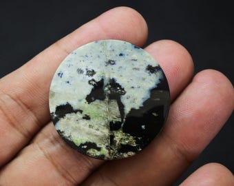 Scenic Multicolor Opalized Petrified Wood