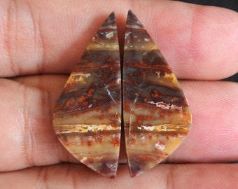 Multicolor Opalized Petrified Wood Pair