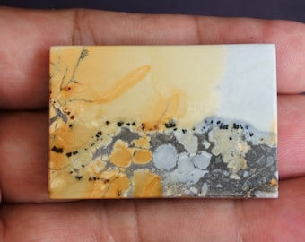Jasper Maligano Stone (29x43x5 mm)