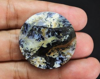 Scenic Multicolor Opalized Petrified Wood