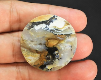 Scenic Multicolor Opalized Petrified Wood