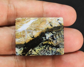 Scenic Multicolor Opalized Petrified Wood