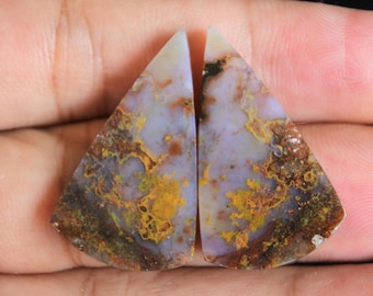 Multicolor Opalized Petrified Wood Pair