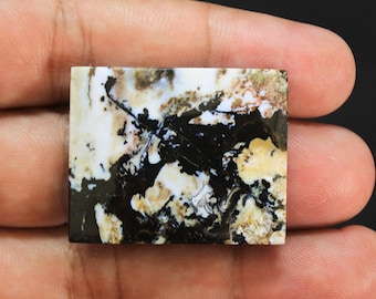 Scenic Multicolor Opalized Petrified Wood