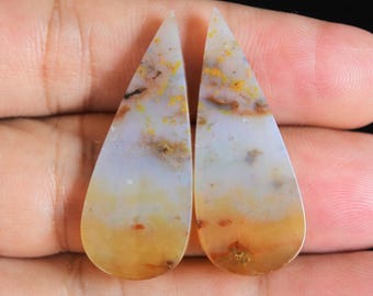Multicolor Opalized Petrified Wood Pair