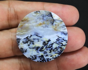 Scenic Multicolor Opalized Petrified Wood