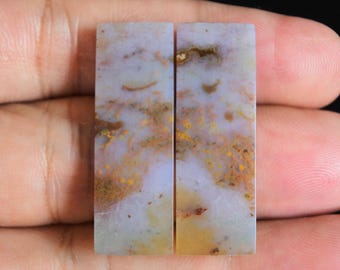 Multicolor Opalized Petrified Wood Pair
