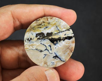 Scenic Multicolor Opalized Petrified Wood Dendrite