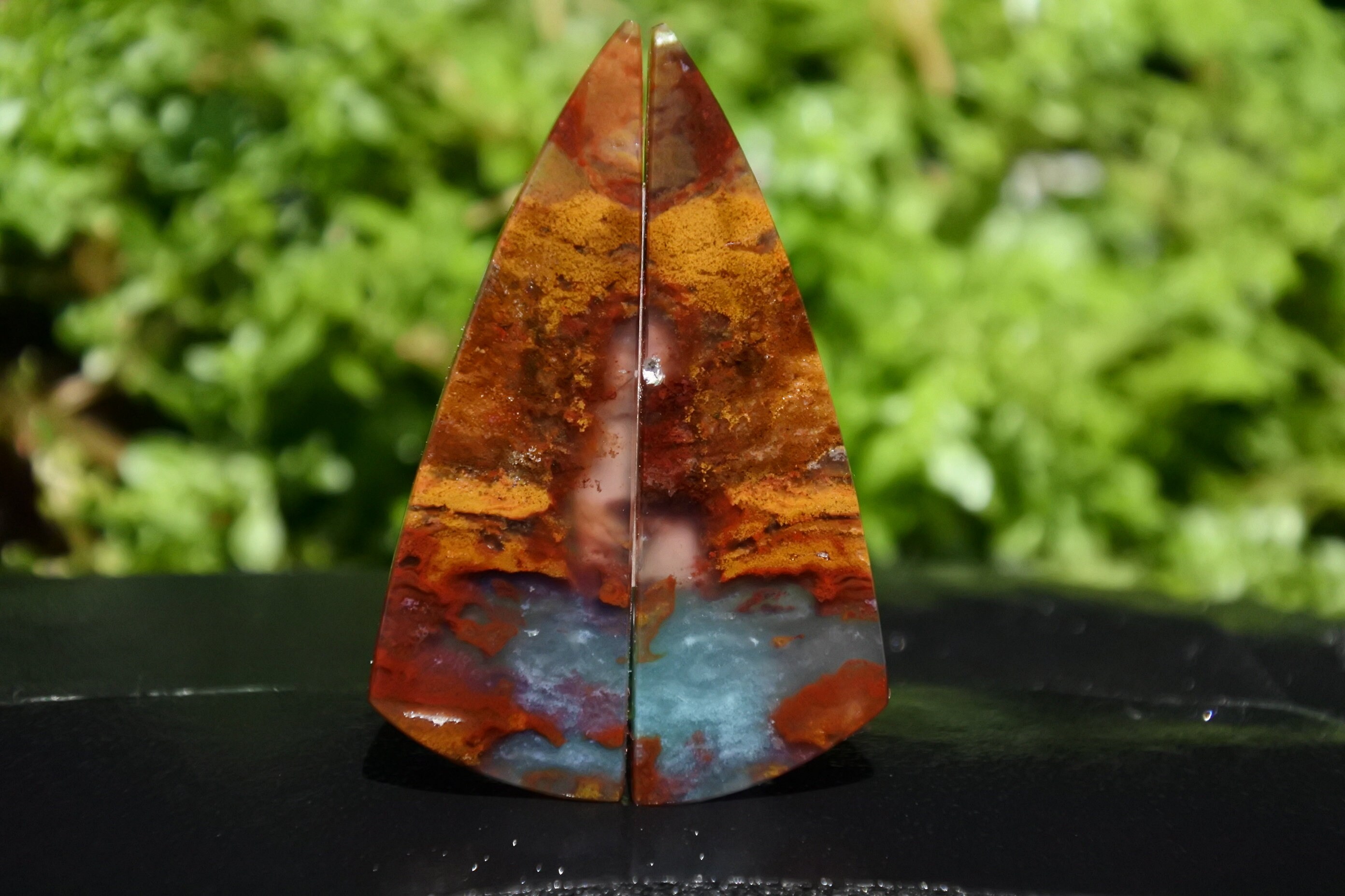 Blue Opalized Petrified Wood pair Etsy