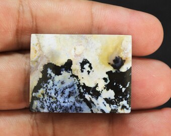 Scenic Multicolor Opalized Petrified Wood