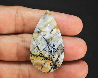 Scenic Multicolor Opalized Petrified Wood