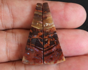 Multicolor Opalized Petrified Wood Pair