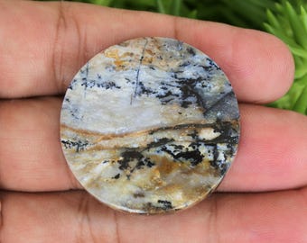 Scenic Multicolor Opalized Petrified Wood