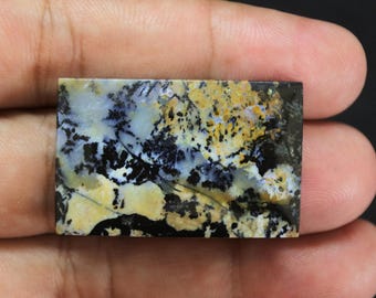Scenic Multicolor Opalized Petrified Wood