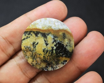 Scenic Multicolor Opalized Petrified Wood