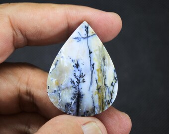 Scenic Multicolor Opalized Petrified Wood Dendrite