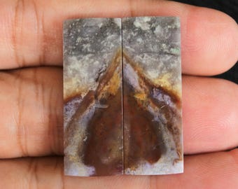 Multicolor Opalized Petrified Wood Pair
