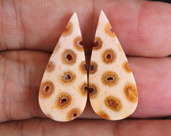 Druzy Agate Coral Pair