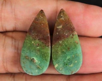 Multicolor Blue Opalized Petrified Wood Pair