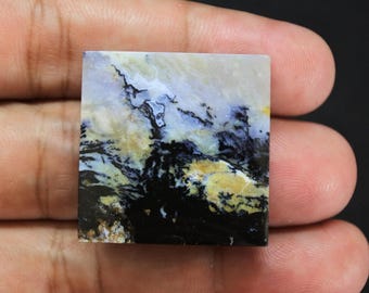 Scenic Multicolor Opalized Petrified Wood