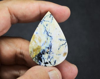Scenic Multicolor Opalized Petrified Wood Dendrite