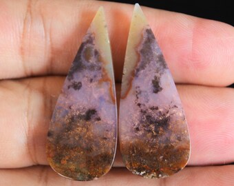 Multicolor Opalized Petrified Wood Pair