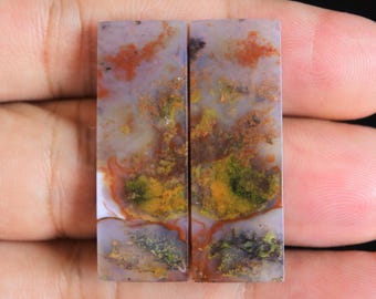 Multicolor Opalized Petrified Wood Pair