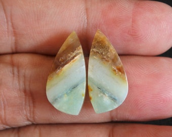 Multicolor Blue Opalized Petrified Wood Pair