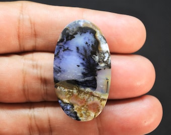 Scenic Multicolor Opalized Petrified Wood