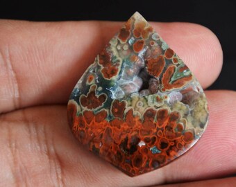 Druzy plume opalized petrified wood multycolor rare