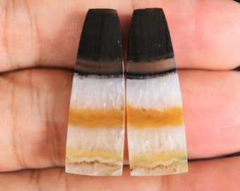 Multicolor White Moss Agate Pair Gemstone