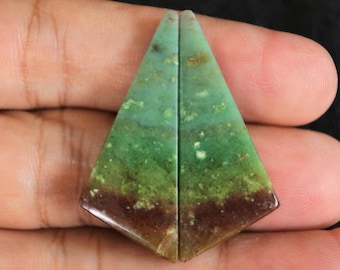 Multicolor Blue Opalized Petrified Wood Pair