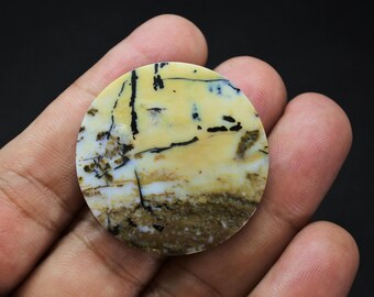 Scenic Multicolor Opalized Petrified Wood