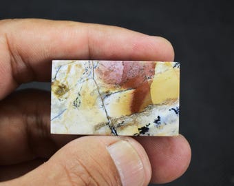 Scenic Multicolor Opalized Petrified Wood Dendrite
