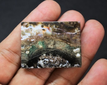 Scenic Multicolor Opalized Petrified Wood