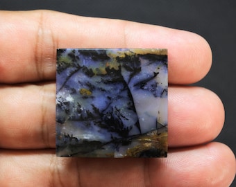 Scenic Multicolor Opalized Petrified Wood