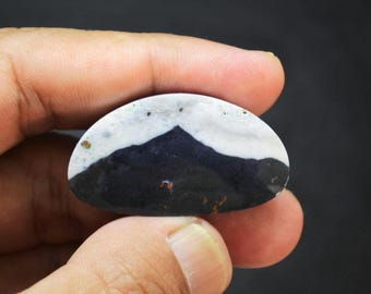 Multicolor Opalized Petrified Wood Copper Gemstone