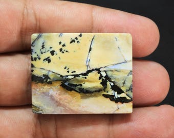 Scenic Multicolor Opalized Petrified Wood