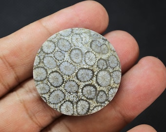 May include: A circular, polished fossil coral cabochon featuring a detailed, natural pattern of grey and white star-like structures. The stone has a smooth, flat surface with a distinct, organic texture throughout, showcasing intricate radial lines.