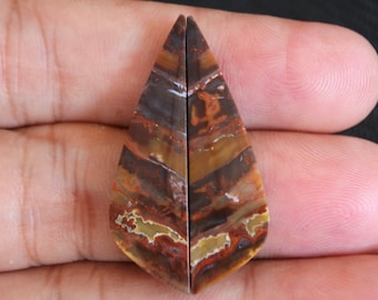 Multicolor Opalized Petrified Wood