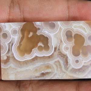 May include: A close-up of a polished agate slab with a white and brown swirling pattern. The agate has a translucent quality and shows a variety of shapes and textures.