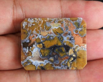 Jasper Maligano Motif