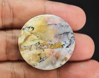 Scenic Multicolor Opalized Petrified Wood