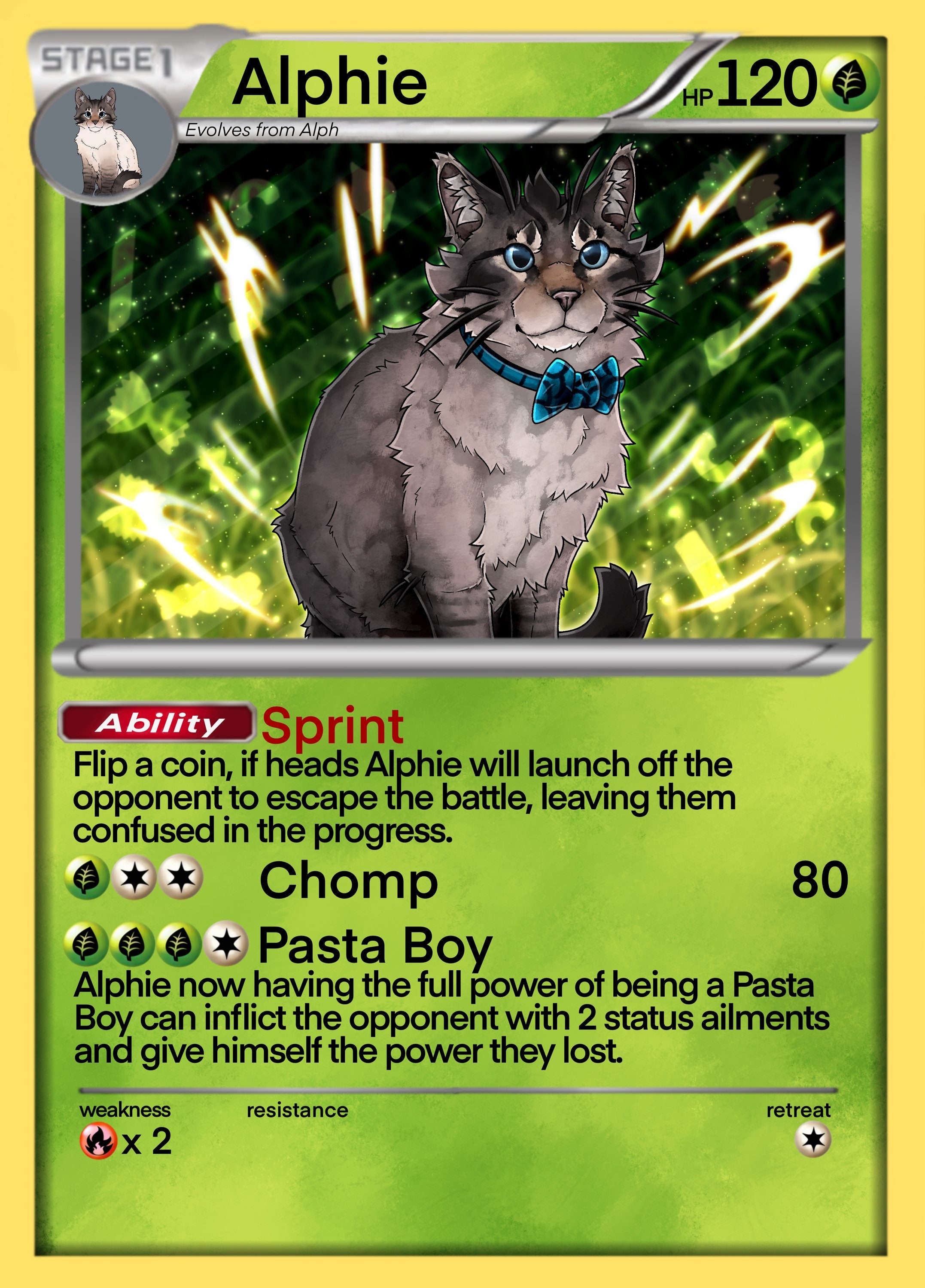 Custom Your as a Pet Pokémon Card Set Evolutions 